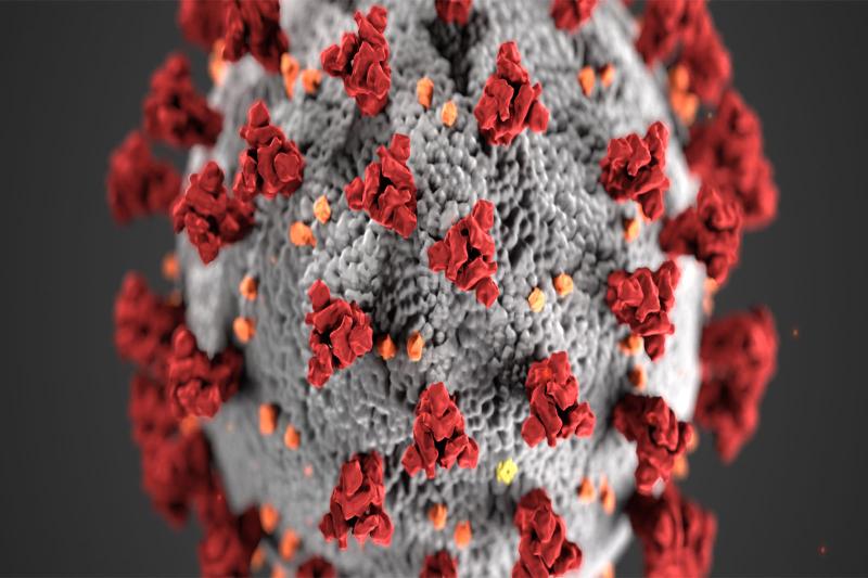 Close up view of a virus