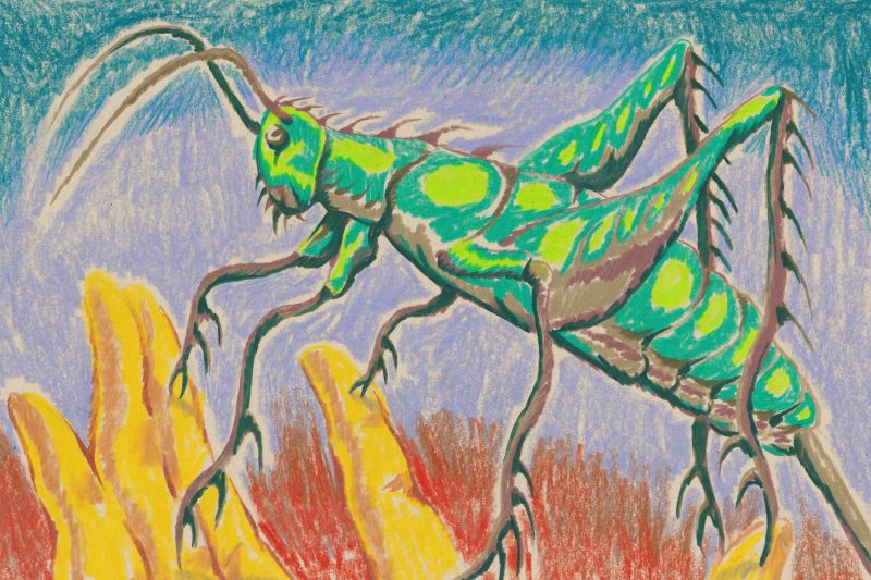 colourful artwork showing a grasshopper-like insect sitting on a yellow hand